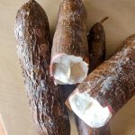 Le manioc
